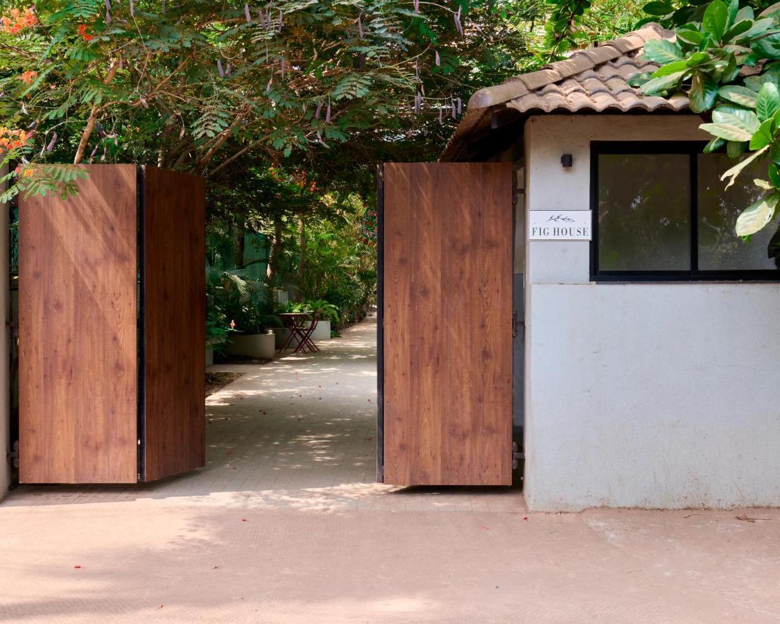Fig House Anjuna-Chapora Road , Siolim 1Bhk Suite Oxel Eksteriør bilde